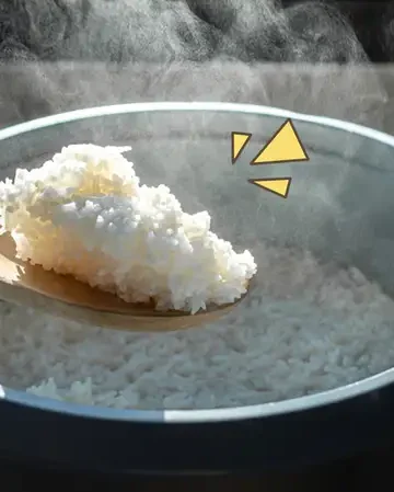 Panduan Penggunaan Alat Pengukus Nasi yang Tepat