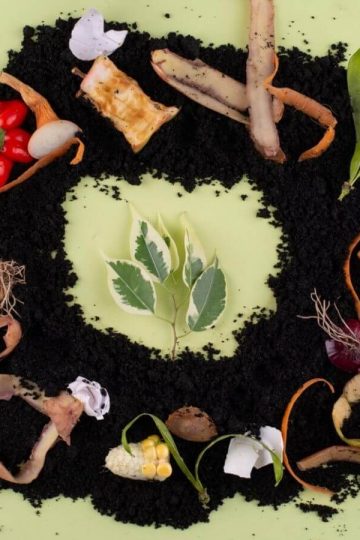 Strategi pemanfaatan sisa makanan