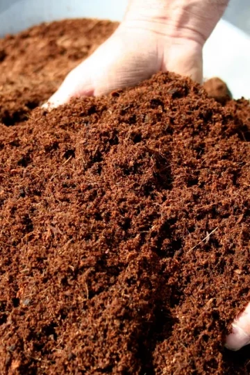 fungsi mesin press cocopeat