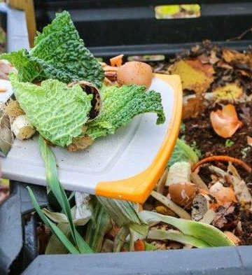pemanfaatan limbah makanan untuk kompos sekolah