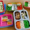 penggunaan aplikasi resep sehat sekolah