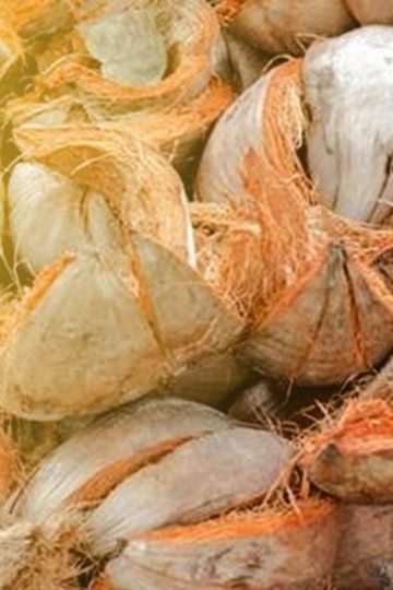 usaha pengolahan sabut kelapa