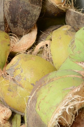 Sabut kelapa sebagai bahan dasar produk kerajinan hijau