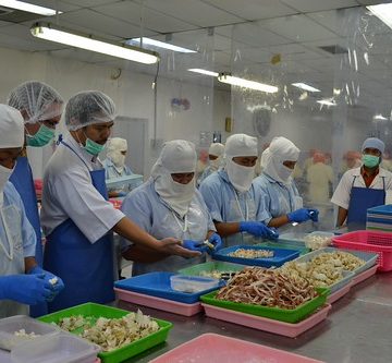 pembuatan sistem pelaporan dapur online