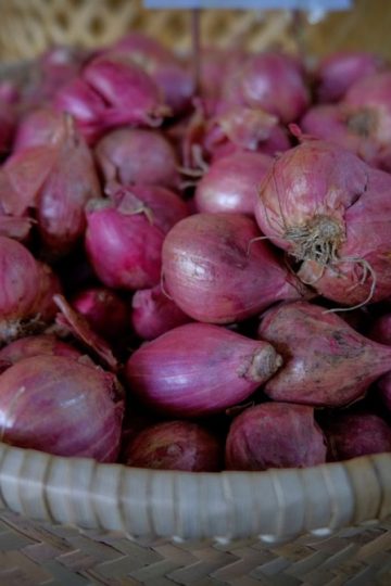 mesin pengolahan bawang praktis