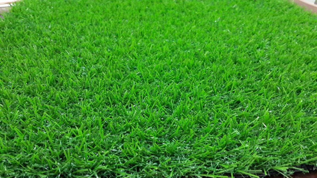 Rumput Ideal untuk Sapi Perah Meningkatkan Produksi Susu