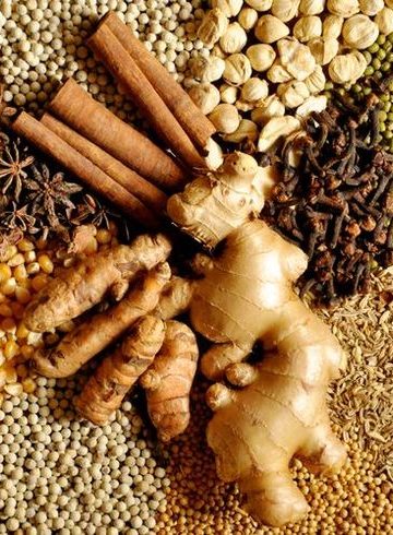 Mesin penggiling bumbu basah