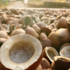 Peluang Usaha Minyak Kelapa