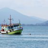 Meningkatkan Performa Mesin Kapal Laut