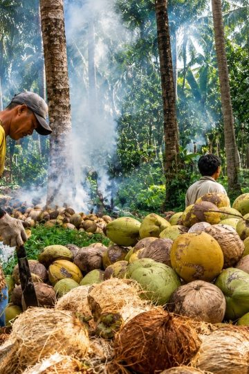 strategi usaha pengolahan kelapa