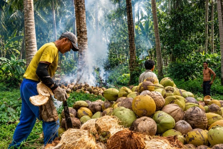 strategi usaha pengolahan kelapa