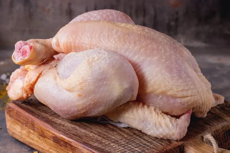 cara menjaga kebersihan ayam potong