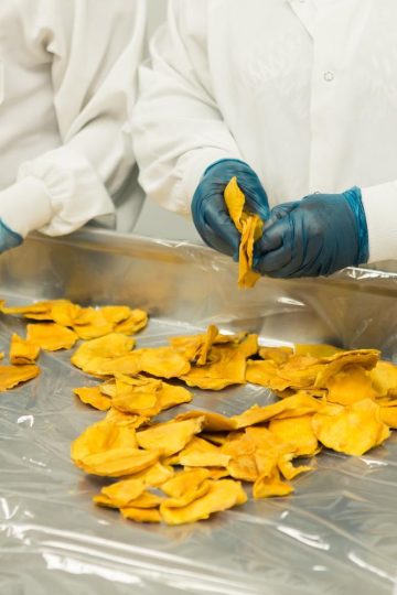 tips memilih metode pengeringan makanan yang tepat