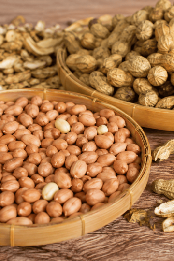 cara menyiapkan kacang untuk sangrai