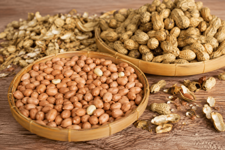 cara menyiapkan kacang untuk sangrai