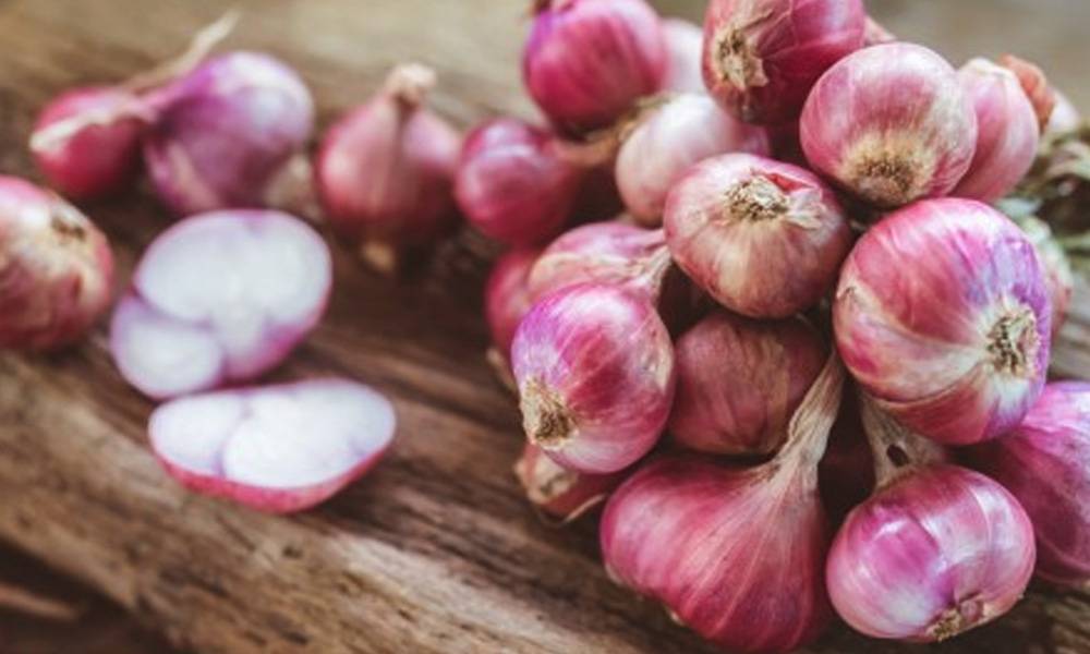 cara menyiapkan bawang agar mudah dirajang dengan mesin