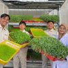 usaha penyediaan pakan ternak