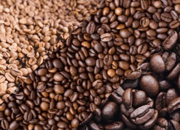 cara mengurangi biji kopi pecah