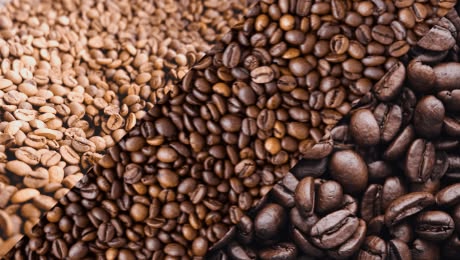 cara mengurangi biji kopi pecah