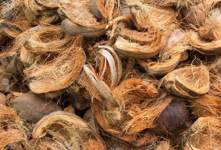 ukuran cacahan sabut untuk media tanam