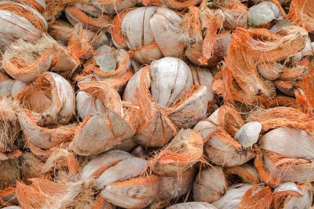 cara mengolah sabut menjadi cocofiber