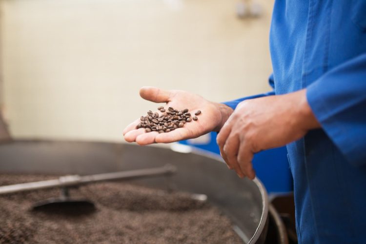 urutan pengolahan kopi metode kering